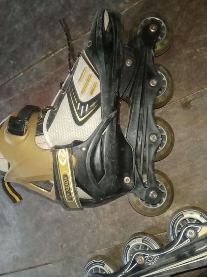 โรเลอเบลด รูปที่ 4