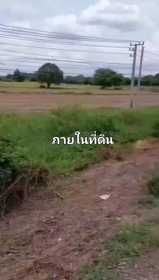 ขายที่ดิน 24ไร่ ติดถนนสายเอเซียฝั่งขาเข้า กทม ไร่ละ 2.9 ล้าน รูปที่ 4