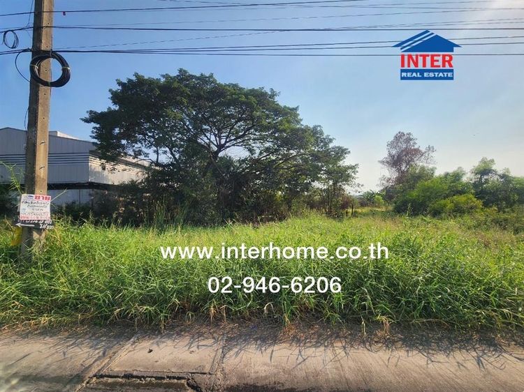 ที่ดินเปล่า 800 ตร.ว. ที่ดิน ใกล้ Lazada Express Hub คลองหลวง ซอยคลองสี่ตะวันออก47 ถนนกาญจนาภิเษก ถนนคลองสี่ คลองหลวง ปทุมธานี รูปที่ 2
