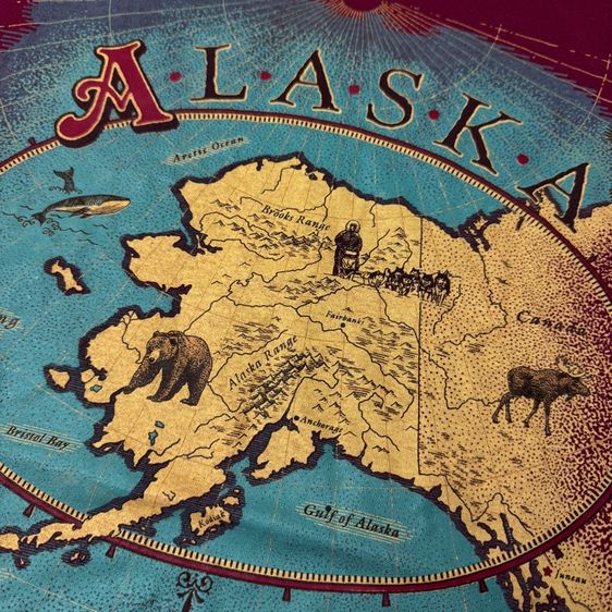 เสื้อยืด 90s Alaska Size XL รูปที่ 5