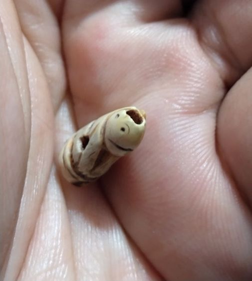 เก่าแวะมาดูครับ รูปที่ 2