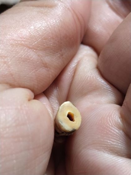 เก่าแวะมาดูครับ รูปที่ 8