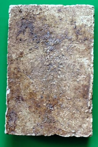 พระสมเด็จ วัดระฆัง บางขุนพรหม วัดเกศไชโย หลวงปู่ภู หลวงปู่นาค รูปที่ 14