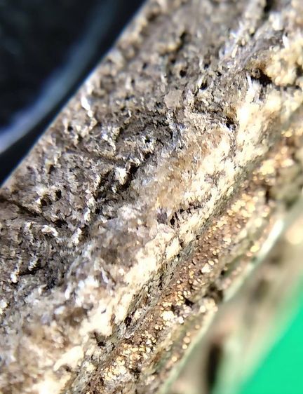 พระสมเด็จ วัดระฆัง บางขุนพรหม วัดเกศไชโย หลวงปู่ภู หลวงปู่นาค รูปที่ 6