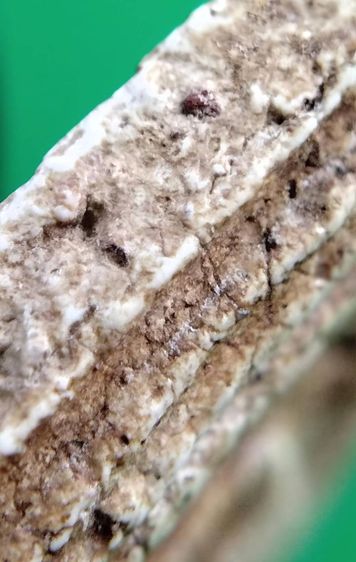 พระสมเด็จ วัดระฆัง บางขุนพรหม วัดเกศไชโย หลวงปู่ภู หลวงปู่นาค รูปที่ 18