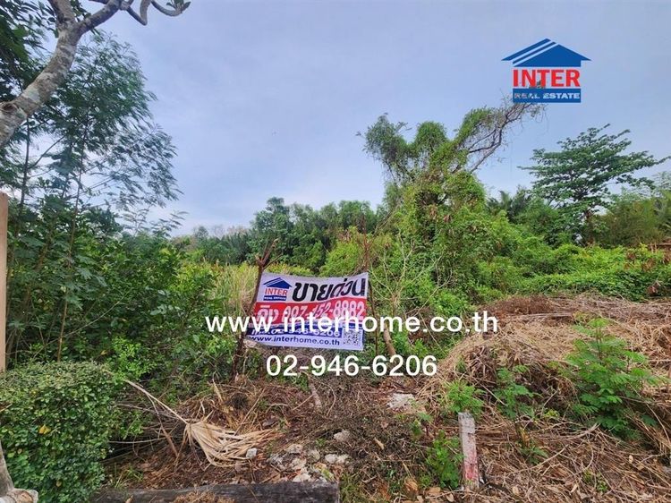 ที่ดินเปล่า 423 ตร.ว. ที่ดิน ใกล้วัดโสธร ฉะเชิงเทรา ถนนศุขประยูร ถนนเทพคุณากร เมืองฉะเชิงเทรา ฉะเชิงเทรา รูปที่ 2