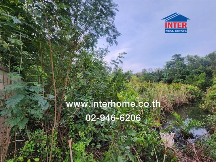 ที่ดินเปล่า 423 ตร.ว. ที่ดิน ใกล้วัดโสธร ฉะเชิงเทรา ถนนศุขประยูร ถนนเทพคุณากร เมืองฉะเชิงเทรา ฉะเชิงเทรา รูปที่ 4