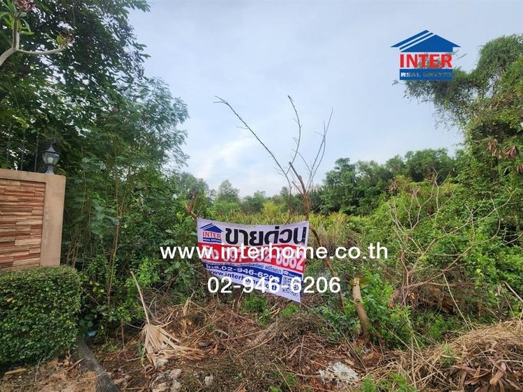 ที่ดินเปล่า 423 ตร.ว. ที่ดิน ใกล้วัดโสธร ฉะเชิงเทรา ถนนศุขประยูร ถนนเทพคุณากร เมืองฉะเชิงเทรา ฉะเชิงเทรา