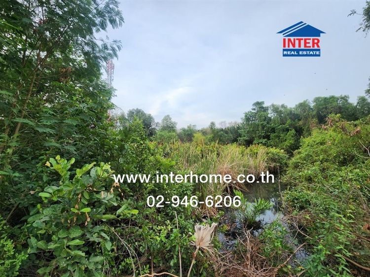 ที่ดินเปล่า 423 ตร.ว. ที่ดิน ใกล้วัดโสธร ฉะเชิงเทรา ถนนศุขประยูร ถนนเทพคุณากร เมืองฉะเชิงเทรา ฉะเชิงเทรา รูปที่ 3
