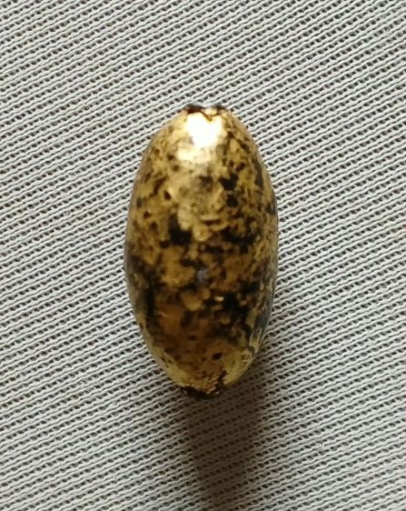 ตะกรุดเก่าไม่ทราบที่ รูปที่ 2