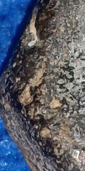 พระปิดตา หลวงปู่เฮี้ยงวัดป่าหลังตะแกรง ยุคแรกเนื้อสวยมากๆ รูปที่ 4