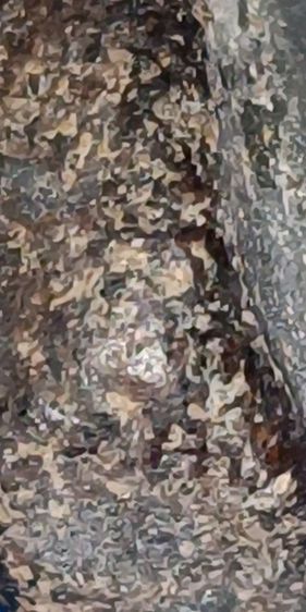 พระปิดตา หลวงปู่เฮี้ยงวัดป่าหลังตะแกรง ยุคแรกเนื้อสวยมากๆ รูปที่ 18