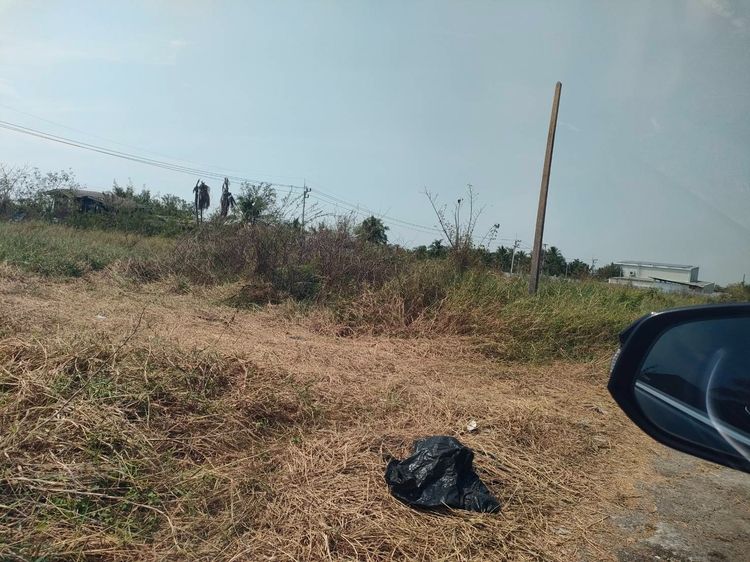 ขายที่ดิน 200 ตรว. คลอง12 เท่าราคาประเมิน  รูปที่ 3