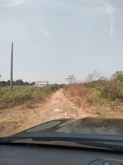 ขายที่ดิน 200 ตรว. คลอง12 เท่าราคาประเมิน  รูปที่ 4