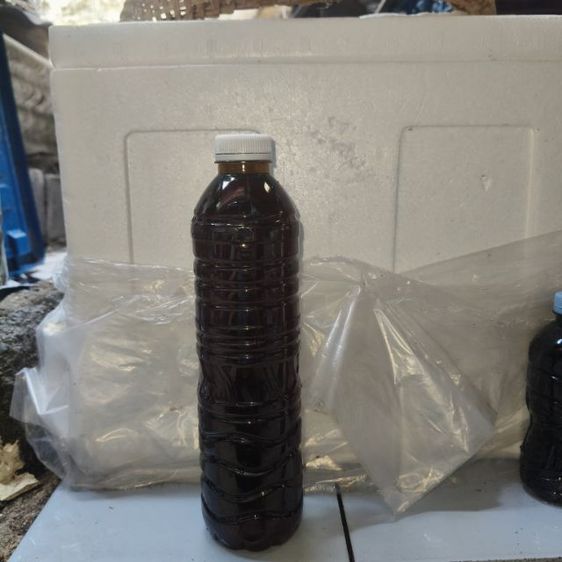 นํ้าหมักใบหูกวาง 250ml 600ml 1100ml รูปที่ 3