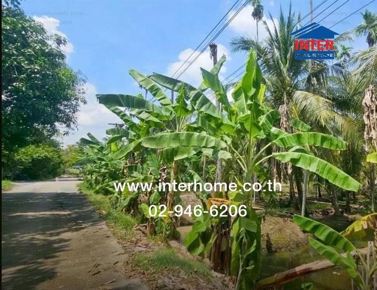 ที่ดินเปล่า 2 ไร่ 46 ตร.ว. ที่ดิน ใกล้วิสาหกิจชุมชนส้มโอมณฑลนครชัยศรี ที่ดินใกล้วัดไร่ขิง ถนนเพชรเกษม สามพราน นครปฐม