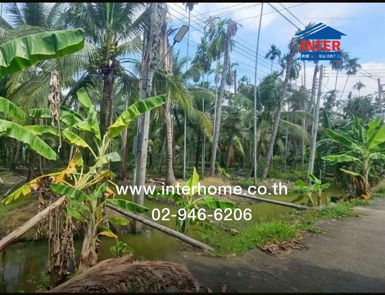 ที่ดินเปล่า 2 ไร่ 46 ตร.ว. ที่ดิน ใกล้วิสาหกิจชุมชนส้มโอมณฑลนครชัยศรี ที่ดินใกล้วัดไร่ขิง ถนนเพชรเกษม สามพราน นครปฐม รูปที่ 2