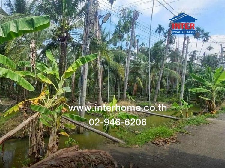 ที่ดินเปล่า 2 ไร่ 46 ตร.ว. ที่ดิน ใกล้วิสาหกิจชุมชนส้มโอมณฑลนครชัยศรี ที่ดินใกล้วัดไร่ขิง ถนนเพชรเกษม สามพราน นครปฐม รูปที่ 4