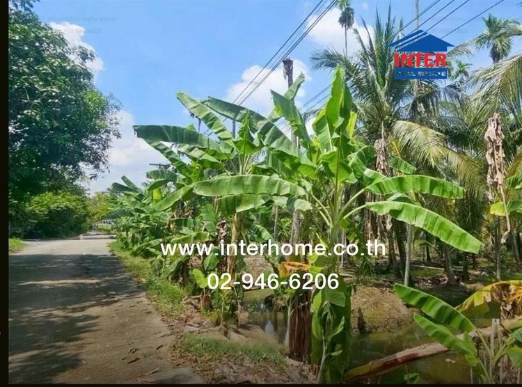 ที่ดินเปล่า 2 ไร่ 46 ตร.ว. ที่ดิน ใกล้วิสาหกิจชุมชนส้มโอมณฑลนครชัยศรี ที่ดินใกล้วัดไร่ขิง ถนนเพชรเกษม สามพราน นครปฐม รูปที่ 3