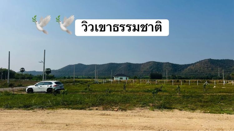 ที่ดินแบ่งขาย
