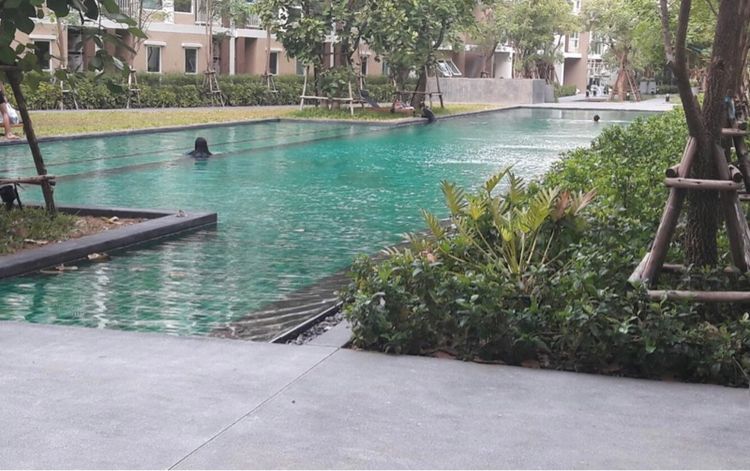 อื่นๆ 2015 เลี้ยงสัตว์ได้ ไม่ใช่ ขาย we condo ชั้น 6 ตกแต่งครบ รูปที่ 2