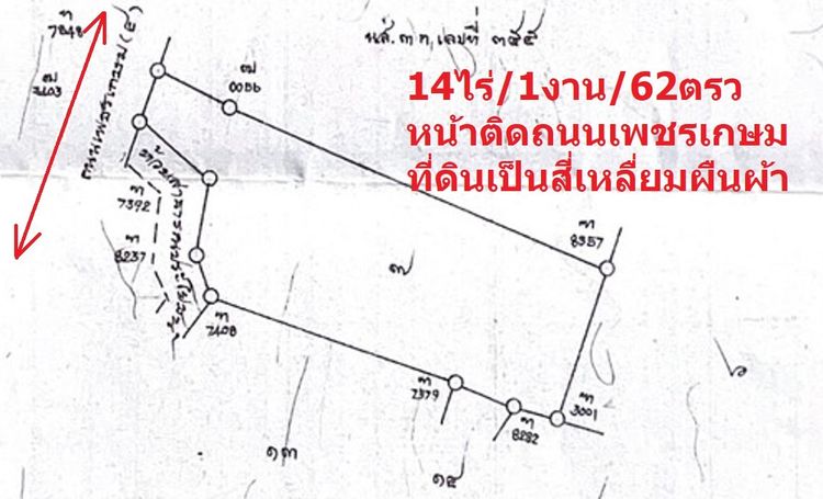 📌เจ้าของขายเอง ติดถนนใหญ่เพชรเกษมเลย ขายที่ดิน ประจวบคีรีขันธ์ บ่อนอก 14ไร่-1งาน-62ตรว แปลงเป็นสี่เหลื่ยมผืนผ้ายาว รูปที่ 2