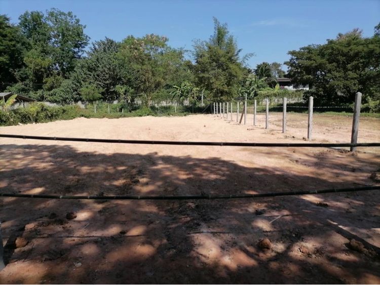 ใช่ ขายที่ดิน 207 ตรว. อำเภอเวียงชัย เชียงราย รูปที่ 4