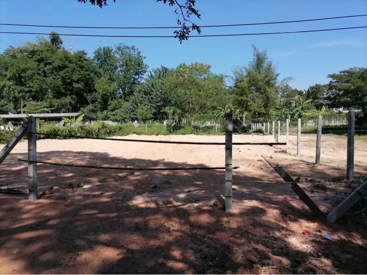 ใช่ ขายที่ดิน 207 ตรว. อำเภอเวียงชัย เชียงราย รูปที่ 3