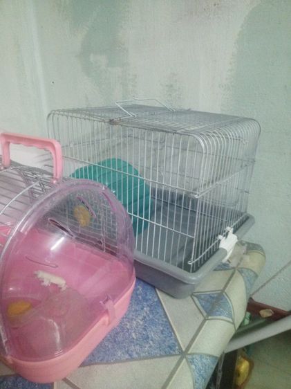 กรงเหล็ก 32×21×23 รูปที่ 2