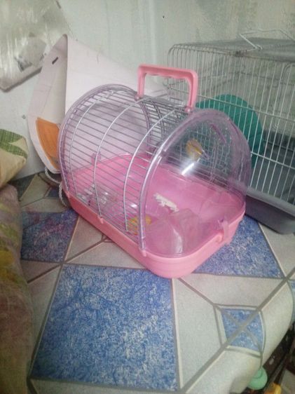 อื่นๆ กรงเหล็ก 32×21×23