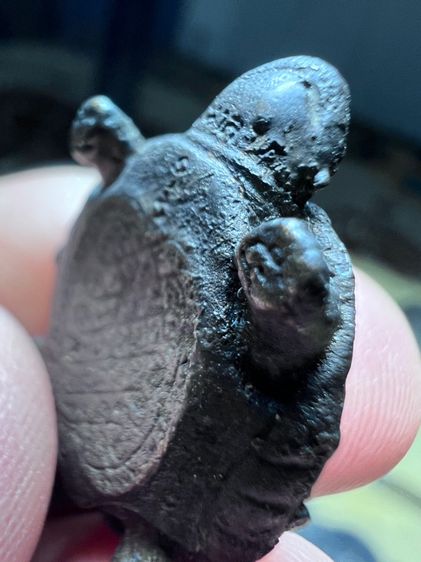 พระเครื่องหลวงปู่หลิววัดไร่แต่งทอง รูปที่ 5