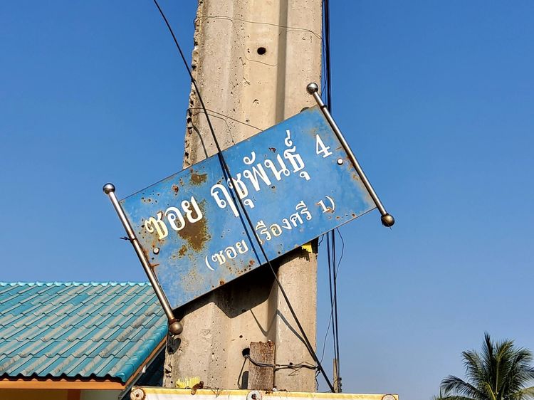 ขายด่วนที่ดินถนนฤชุพันธุ์ 568 ตรว ติดถนนคอนกรีตสาธารณะ ซ.ฤชุพันธุ์ 4 อ.ไทรน้อย จ.นนทบุรี  รูปที่ 2