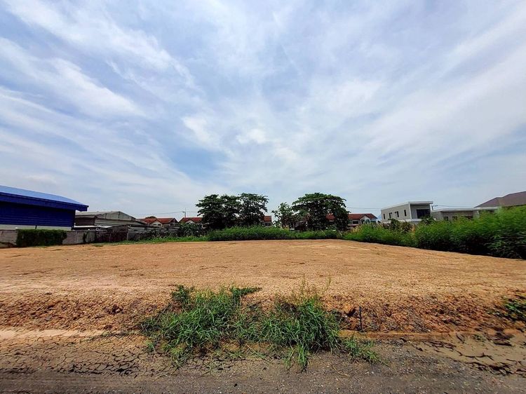 ขายที่ดินคลองห้า 1 ไร่ ติดถนนสาธารณะ ถมสูงกว่าถนน ซ.คลองห้าตะวันออก 3 อ.คลองหลวง จ.ปทุมธานี รูปที่ 3