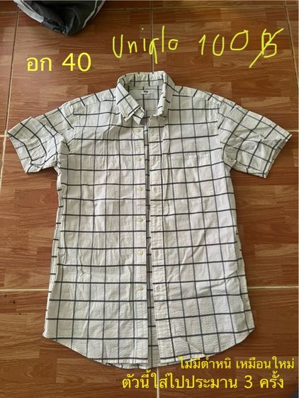 เสื้อเชิ้ตแขนสั้น เสื้อฮาวาย  รูปที่ 13