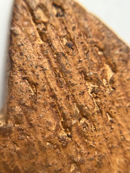 พระขุนแผนกรุบ้านกลางพิมพ์พายคู่ เนื้อดิน รูปที่ 18