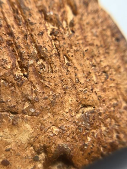 พระขุนแผนกรุบ้านกลางพิมพ์พายคู่ เนื้อดิน รูปที่ 17