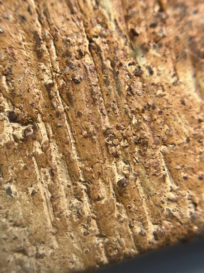 พระขุนแผนกรุบ้านกลางพิมพ์พายคู่ เนื้อดิน รูปที่ 15