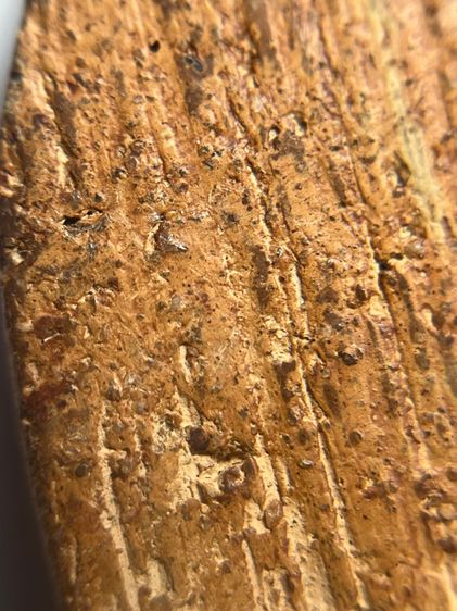 พระขุนแผนกรุบ้านกลางพิมพ์พายคู่ เนื้อดิน รูปที่ 14