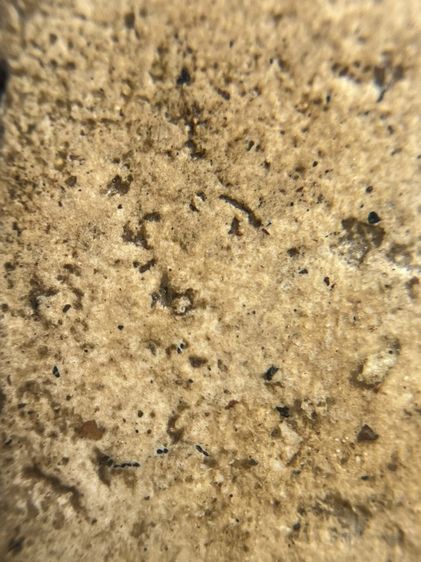 พระสมเด็จเกศไชโยพิมพ์เข่าบ่วง อ่างทอง รูปที่ 12