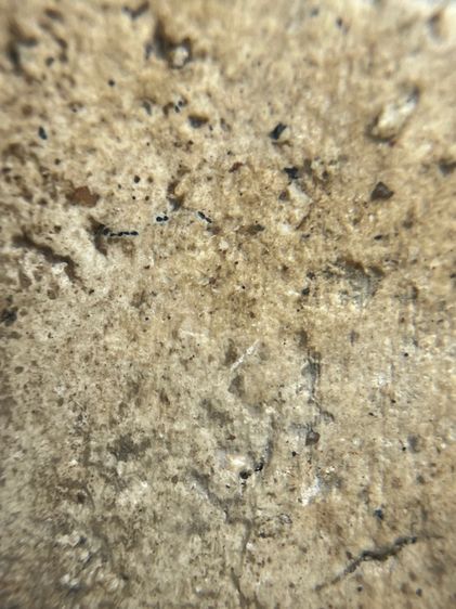 พระสมเด็จเกศไชโยพิมพ์เข่าบ่วง อ่างทอง รูปที่ 15