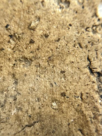 พระสมเด็จเกศไชโยพิมพ์เข่าบ่วง อ่างทอง รูปที่ 13