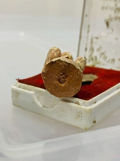 หลวงปู่ทิม รูปที่ 5