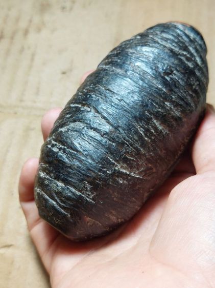 เครื่องรางตะกรุดหลวงพ่อโพธิ์วัดวังหมาเน่าพิจิตร รูปที่ 4