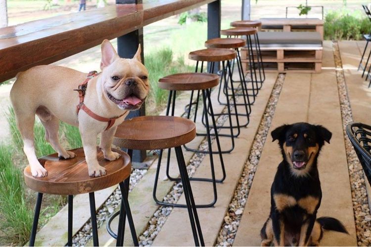 เฟอร์นิเจอร์สั่งทำ รับผลิตเฟอร์นิเจอร์ โดนช่างฝีมือคนไทย ราคาสมเหตุสมผล รูปที่ 6