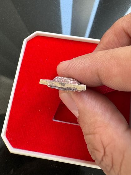 พระกำลังแผ่นดิน รูปที่ 6