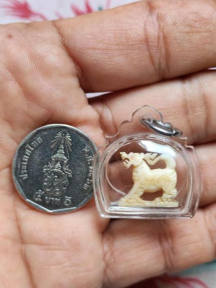 สิงห์คอม้า2ขวัญหลวงพ่อมุ่ยวัดดอนไร่ รูปที่ 12
