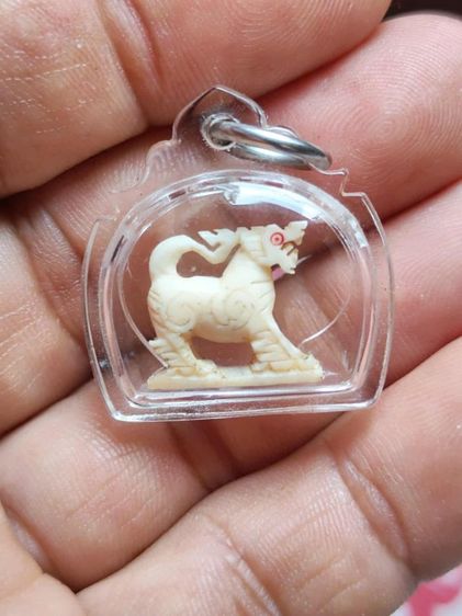 สิงห์คอม้า2ขวัญหลวงพ่อมุ่ยวัดดอนไร่ รูปที่ 6