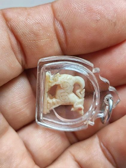 สิงห์คอม้า2ขวัญหลวงพ่อมุ่ยวัดดอนไร่ รูปที่ 10