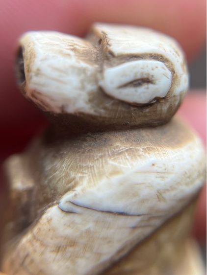 ลิงตัวใหญ่อ้วนๆ (มีสินค้าหลายรายการกดเข้ามาดูในโปรไฟล์ได้เลยครับ) รูปที่ 5