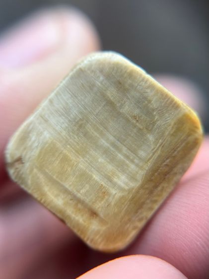 ลิงตัวใหญ่อ้วนๆ (มีสินค้าหลายรายการกดเข้ามาดูในโปรไฟล์ได้เลยครับ) รูปที่ 10